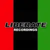 MSRS, E-Man & Onaje Allen Gumbs - Soul Liberation (feat. Onaje Allen Gumbs) (Instrumental Mix) - Single